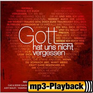 Produktbild des Artikels Gott hat uns nicht vergessen (Playback ohne Backings) (MP3-Album - Download)