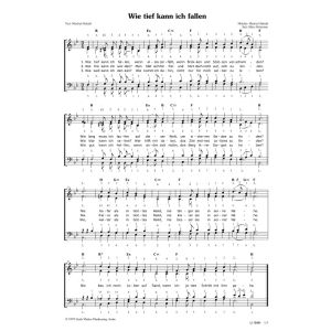 Produktbild des Artikels Wie tief kann ich fallen (Noten - Download)