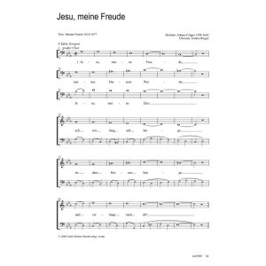 Produktbild des Artikels Jesu, meine Freude (Noten - Download)