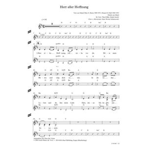 Produktbild des Artikels Herr aller Hoffnung / Be Thou My Vision (Noten - Download)