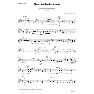 Produktbild des Artikels Stern, auf den ich schaue (Noten - Download)