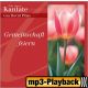 Es ist ein Fest, dir zu begegnen (Playback ohne Backings)
