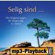 Gerechtigkeit (Playback ohne Backings)