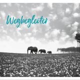 Stimmungsbild zu Post für dich - Postkartenset