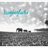 Stimmungsbild zu Post für dich - Postkartenset