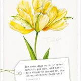 Stimmungsbild zu GartenGlück - Postkartenset