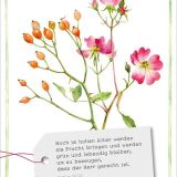 Stimmungsbild zu GartenGlück - Postkartenset