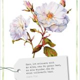 Stimmungsbild zu GartenGlück - Postkartenset