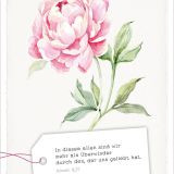 Stimmungsbild zu GartenGlück - Postkartenset