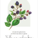Stimmungsbild zu GartenGlück - Postkartenset
