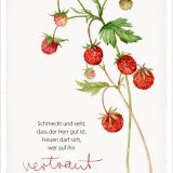 Stimmungsbild zu GartenGlück - Postkartenset