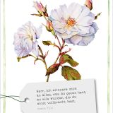 Stimmungsbild zu GartenGlück - Postkartenset