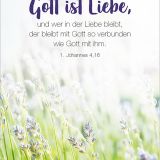 Stimmungsbild zu Königstochter - Blechdose