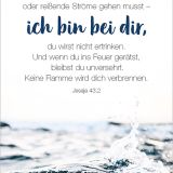 Stimmungsbild zu Königstochter - Blechdose