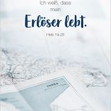 Stimmungsbild zu Königstochter - Blechdose