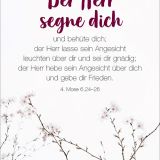Stimmungsbild zu Königstochter - Blechdose