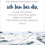 Stimmungsbild zu Königstochter - Blechdose