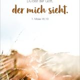 Stimmungsbild zu Königstochter - Blechdose