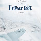 Stimmungsbild zu Königstochter - Blechdose
