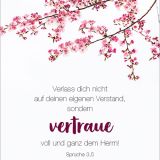 Stimmungsbild zu Königstochter - Blechdose