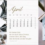 Stimmungsbild zu Mein kleines Glück 2019