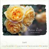 Stimmungsbild zu Ich bin bei dir 2022 - Postkartenkalender