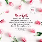 Stimmungsbild zu Osterfreude für dich - Aufstellbuch