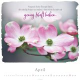 Stimmungsbild zu Ich bin bei dir 2024 - Wandkalender