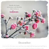 Stimmungsbild zu Ich bin bei dir 2024 - Wandkalender
