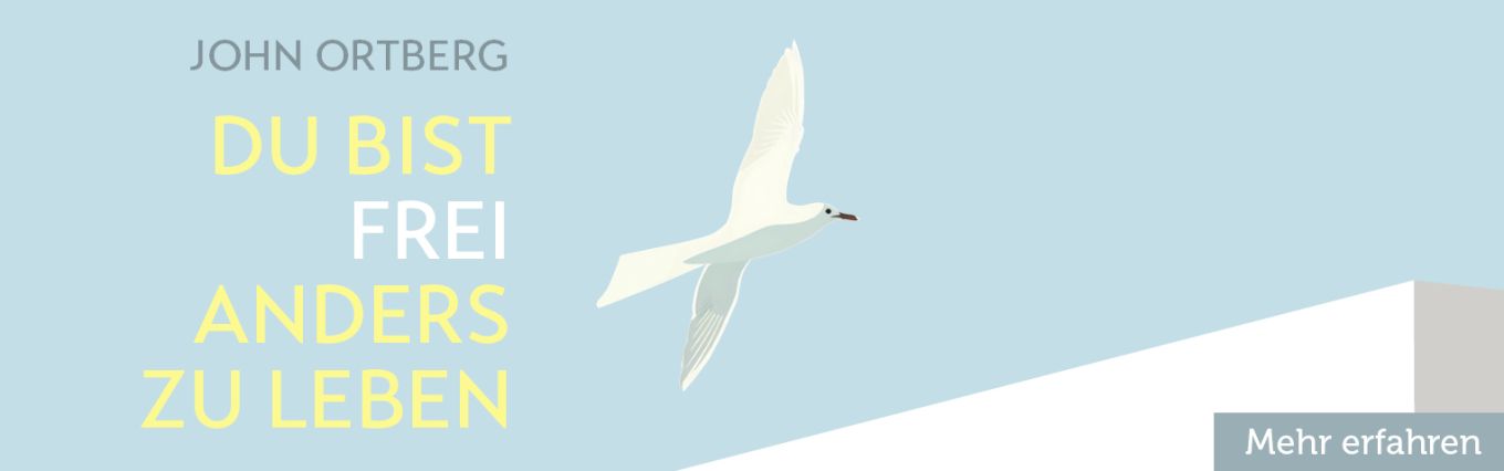 Banner zu Ortberg
