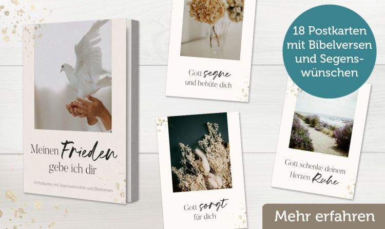 Banner Servietten Gesegnete Weihnachten